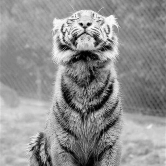 Meet your Posher, Cari - Picture 7 of 8